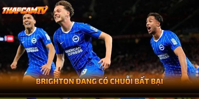 Brighton Đang Có Chuỗi Bất Bại