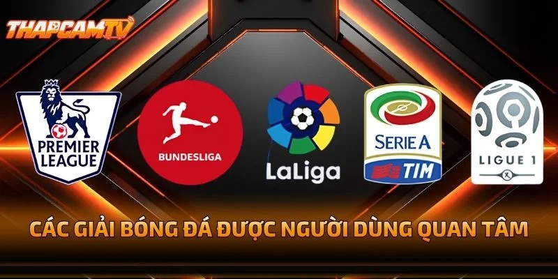 Các Giải Bóng Đá Được Người Dùng Quan Tâm