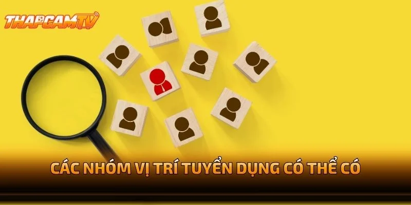 Các Nhóm Vị Trí Tuyển Dụng Có Thể Có