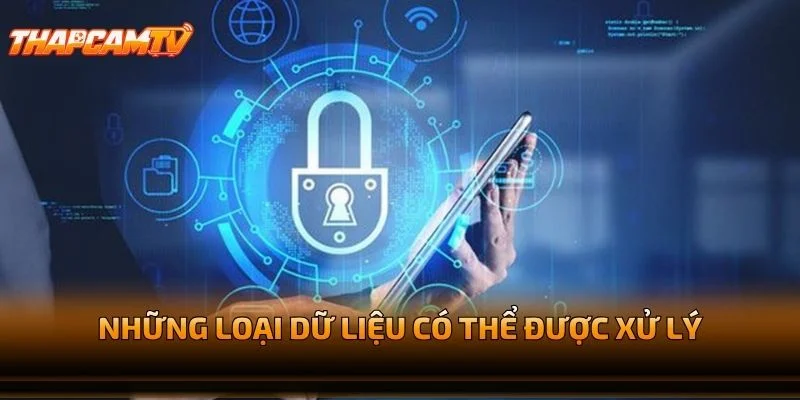 Những Loại Dữ Liệu Có Thể Được Xử Lý