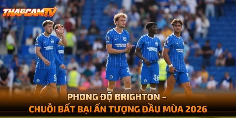 Phong Độ Brighton – Chuỗi Bất Bại Ấn Tượng Đầu Mùa 2026