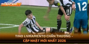 Tino Livramento Chấn Thương – Cập Nhật Mới Nhất 2026