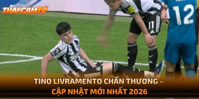 Tino Livramento Chấn Thương – Cập Nhật Mới Nhất 2026